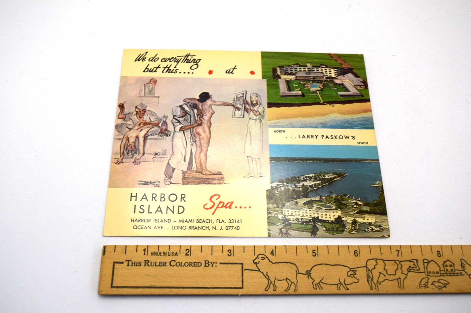 Larry Paskow\'s Harbor Island Spa Miami Beach Long Branch Comical Postcard VTG