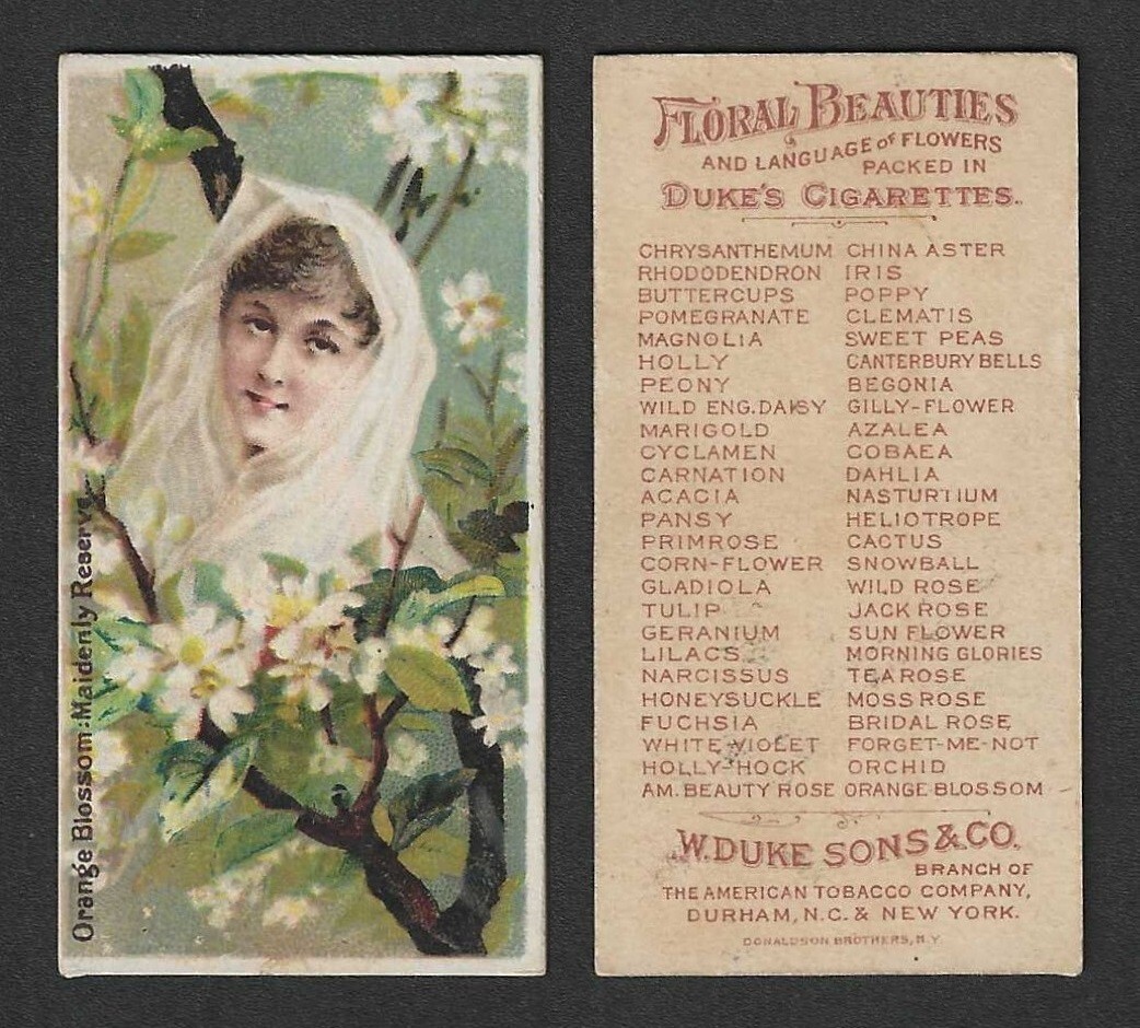 c1880\'s N75 Duke Tobacco Card - Floral Beauties Series - Orange Blossom Maidenly