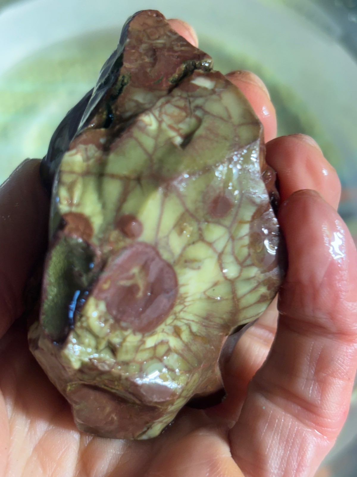 Spiderweb Jasper 4.25oz Rough Chunk Mexico (SJ3096)