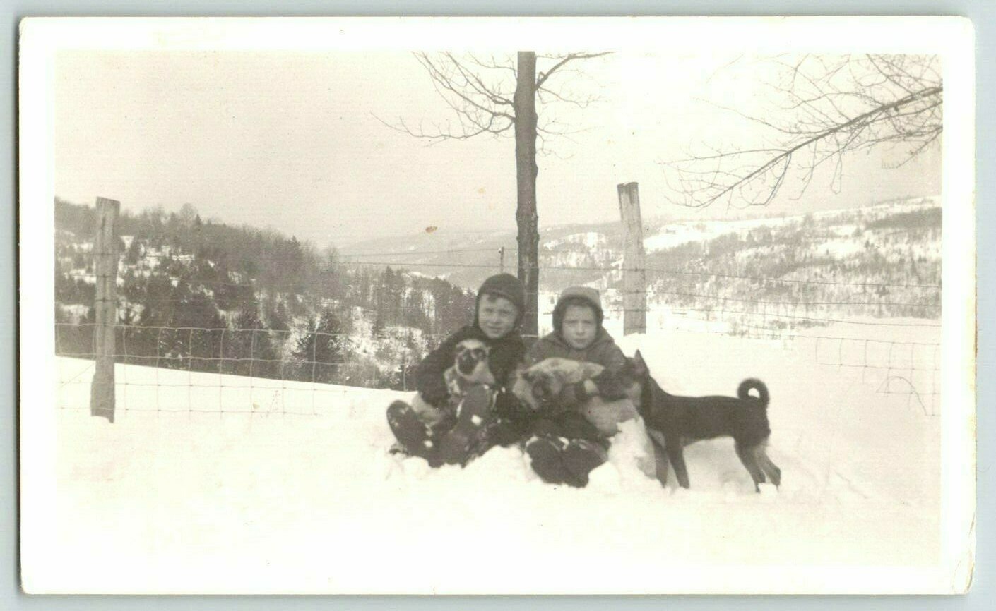 Vintage Photo Boys Holding Dogs Winter Scene 1930\'s 1940\'s Found Art R68