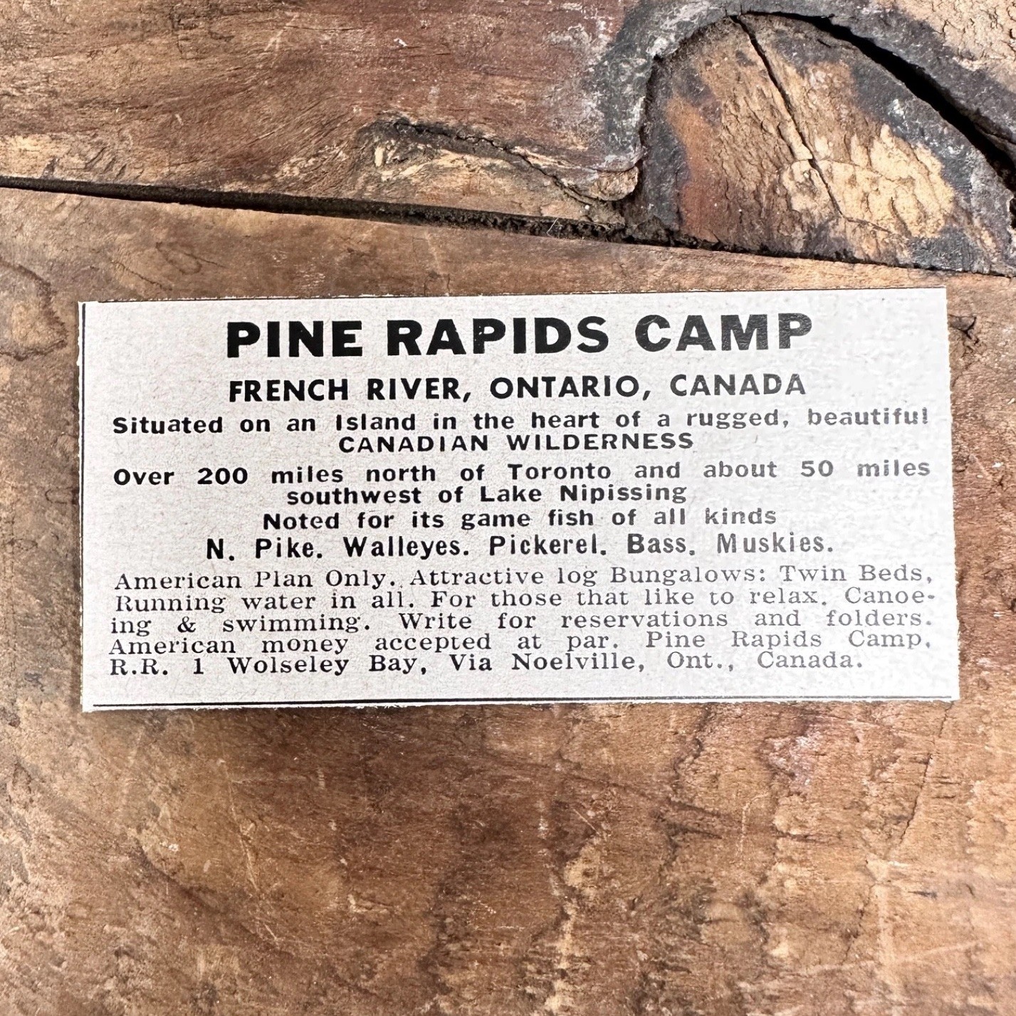1952 PINE RAPIDS CAMP FRENCH RIVER, ONTARIO, CANADA Vintage Print Ad