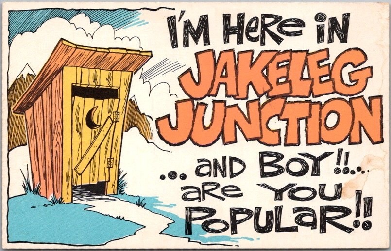 Vintage 1960s OUTHOUSE Bathroom Comic Postcard 
