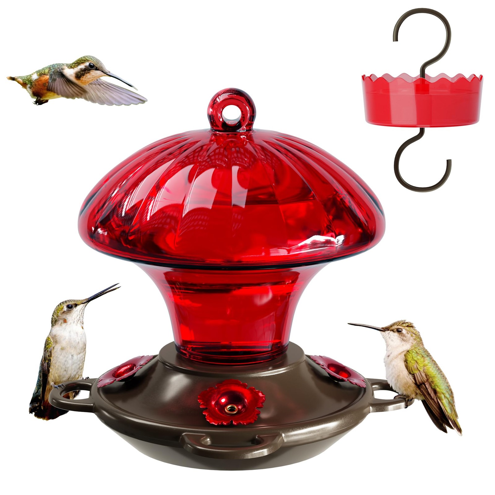 Hummingbird Feeder, Auslar 15 Ounces Glass Hummingbird Feeders for Outdoors Hang