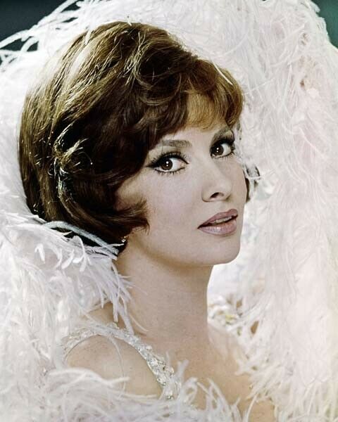 Gina Lollobrigida beautiful portrait for Come September 8x10 inch photo