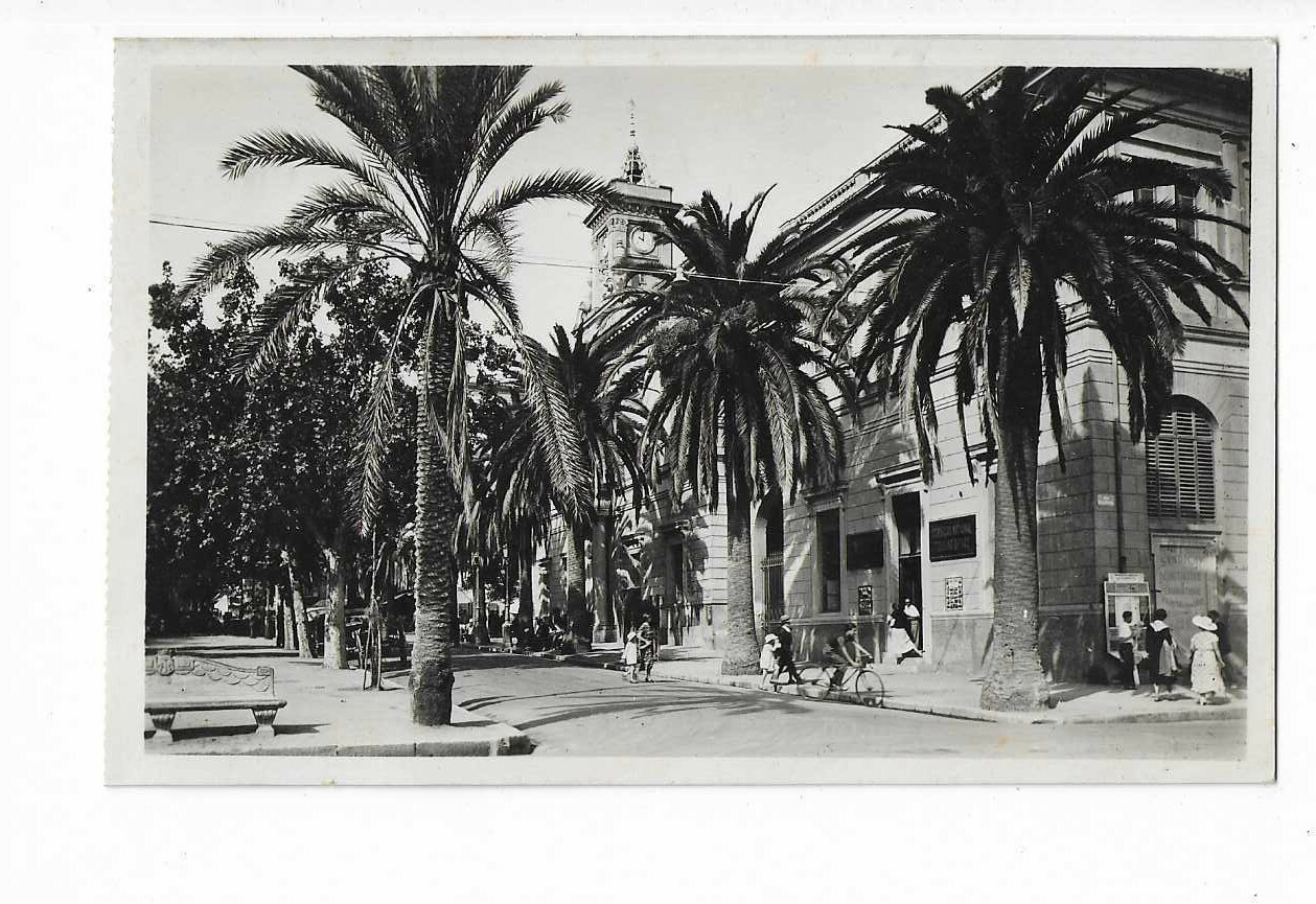 20 AJACCIO Avenue Du Premier Consul