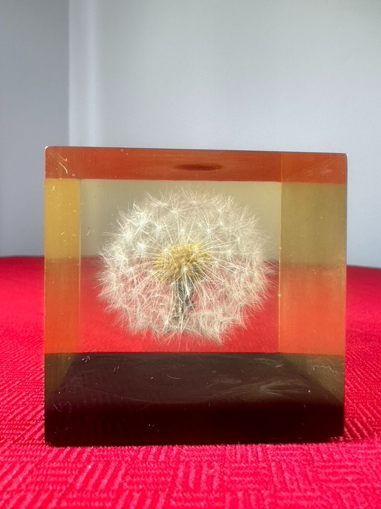 VTG GUMPS 1960's (USA) Lucite cube dandelion paperweight Modern Home Office Gift VTG GUMPS 1960's (USA) Lucite cube dandelion paperweight Modern Home Office Gift