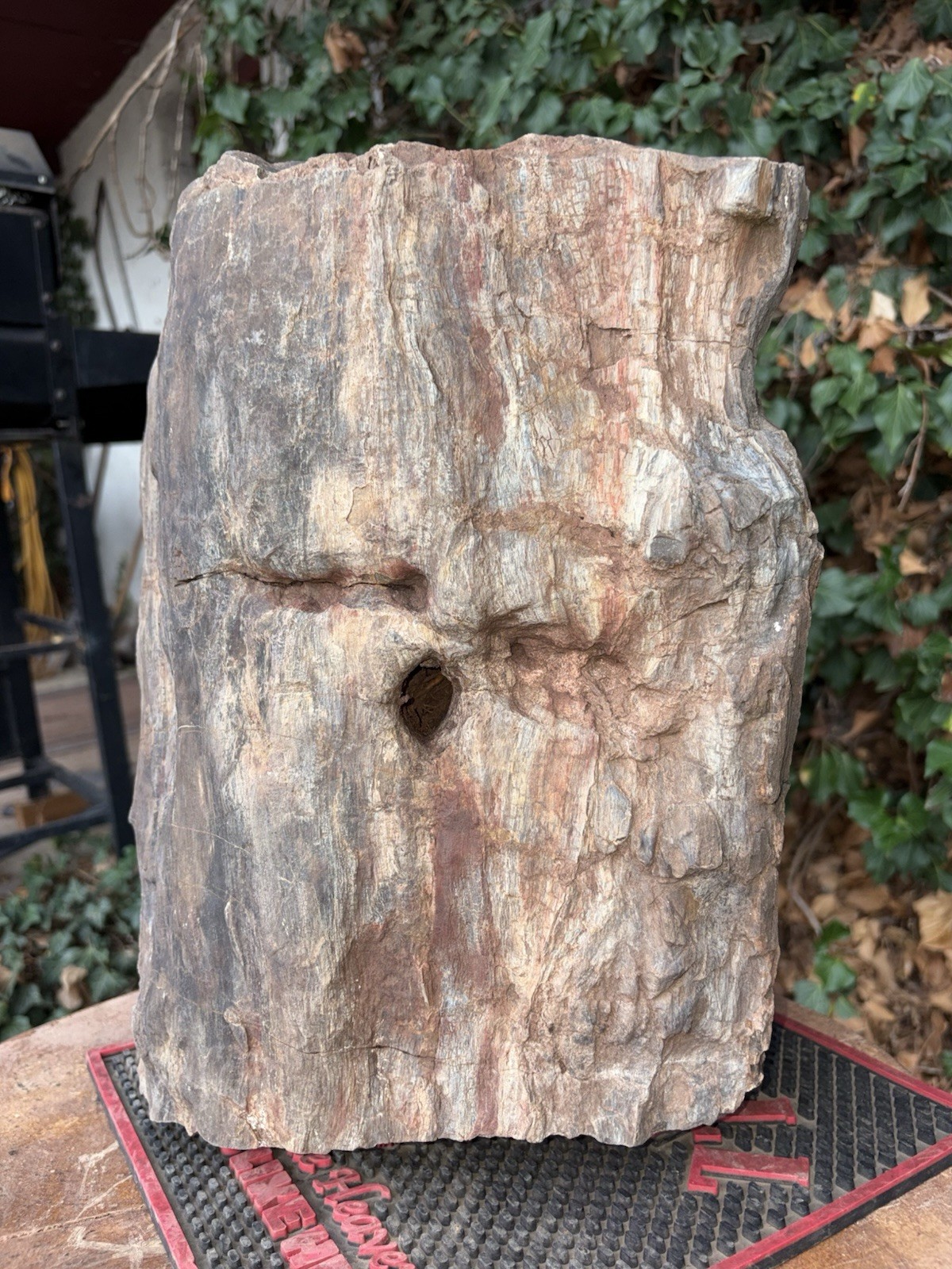☘️RR⛏️: Rough Full Round Detailed New Mexico Petrified Wood 107 Lb. 🪵