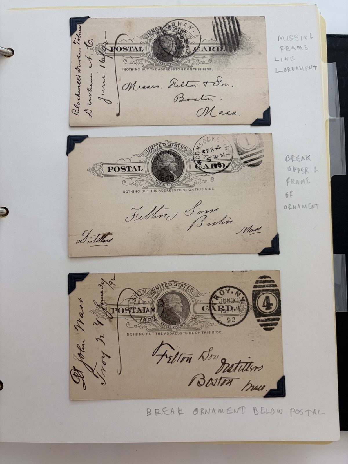 1890s Natural History Postal Archive 200+ Cards Museum Bird Correspondence