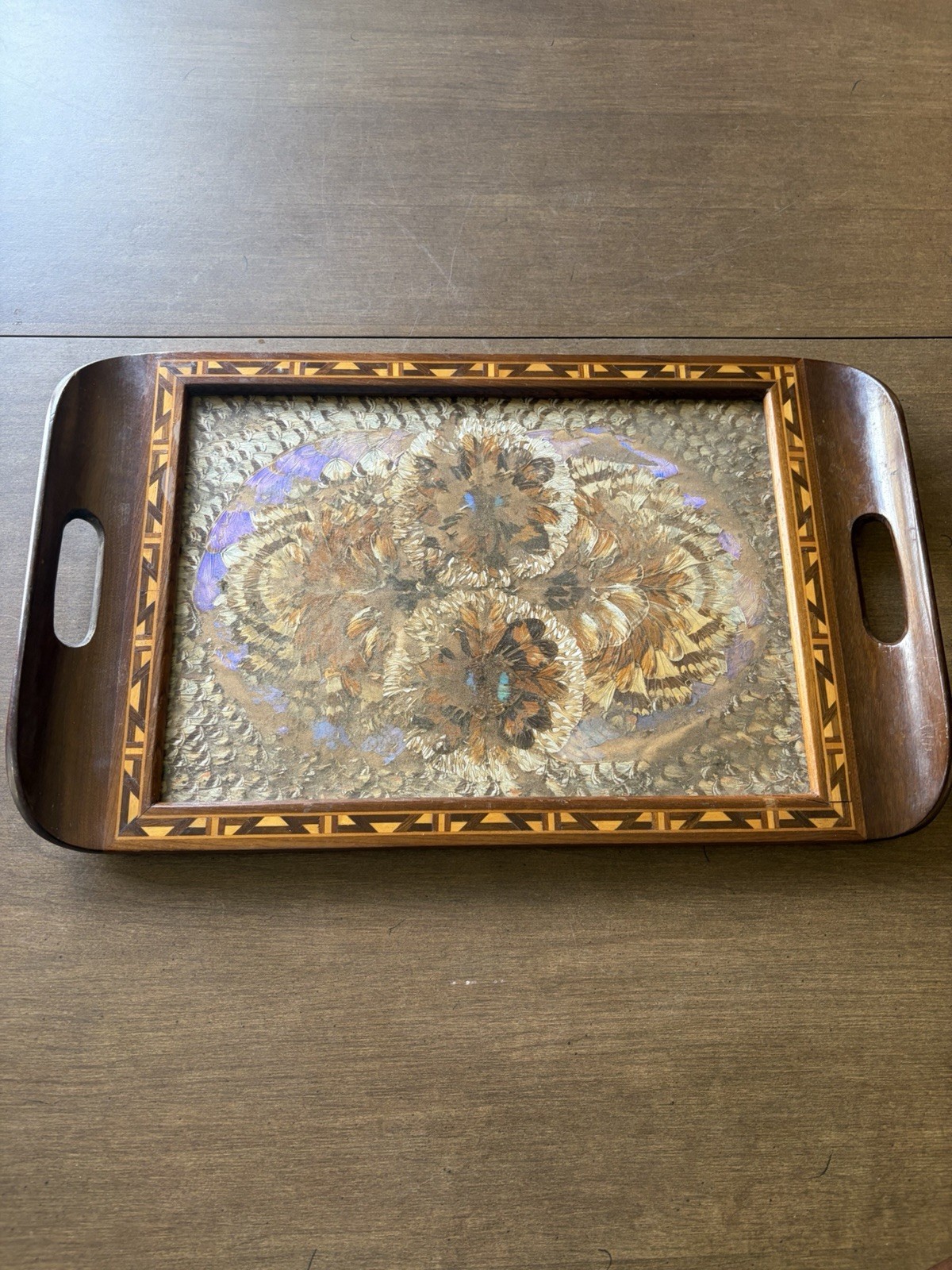 Vintage Brazilian Butterfly Wings Wood and Glass Frame