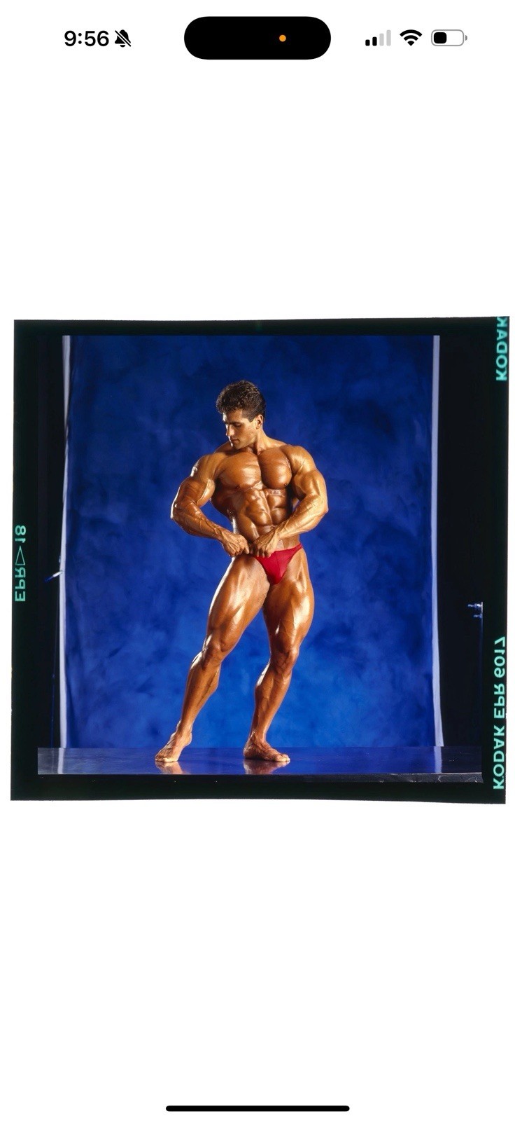 Rare Michael Neveux original.Transparency 2”1/2”.  1988 Bob Paris.