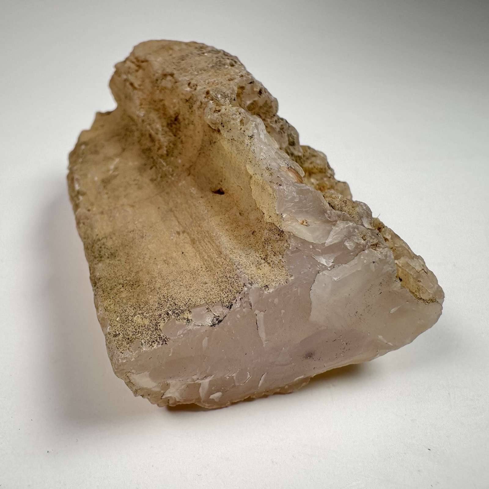 Paulina Oregon Agatized Limb Cast Fortification Agate Quartz 3” 6oz Display
