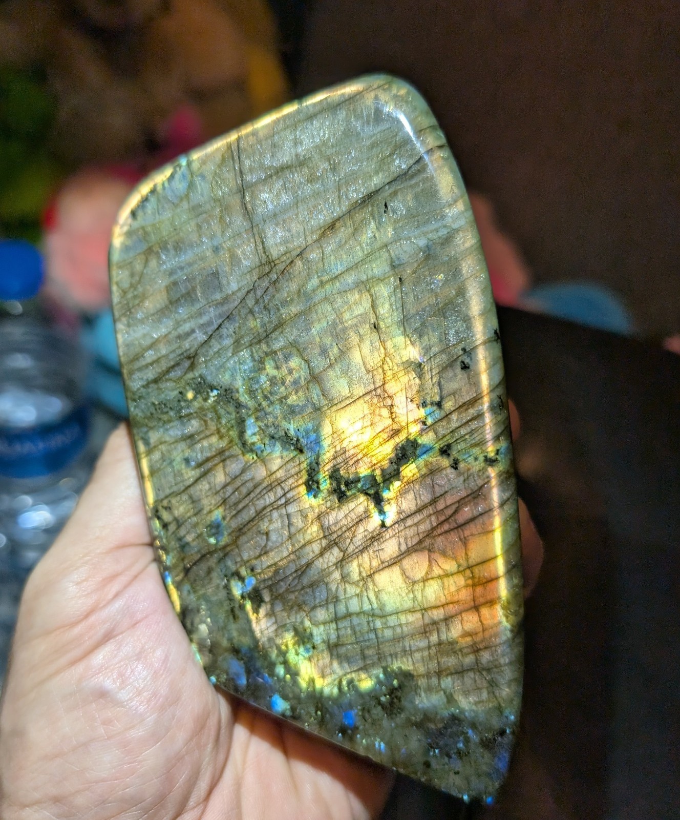 RARE Donald Trump Silhouette Labradorite 832g High Flash Fully Polished Freeform
