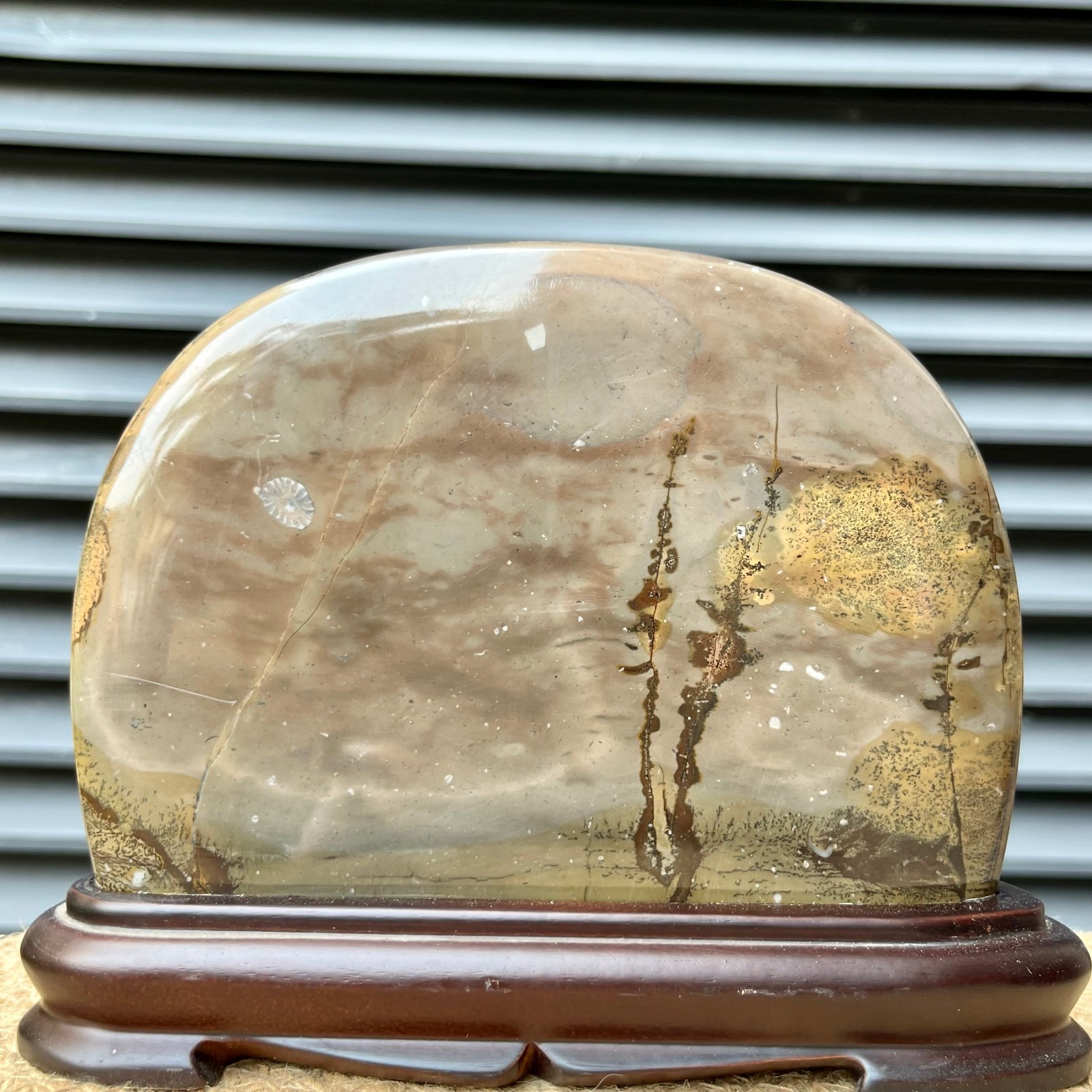 Natural Stone Display Polished Scenic Pattern Art w/ Stand  5.8 lb