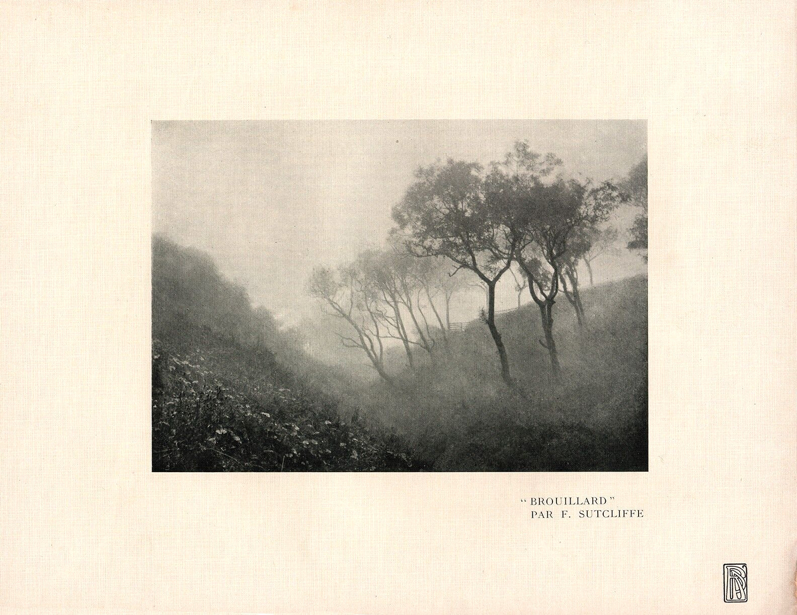 FRANK MEADOW SUTCLIFFE - Brouillard, Original 1903 Full Plate Halftone