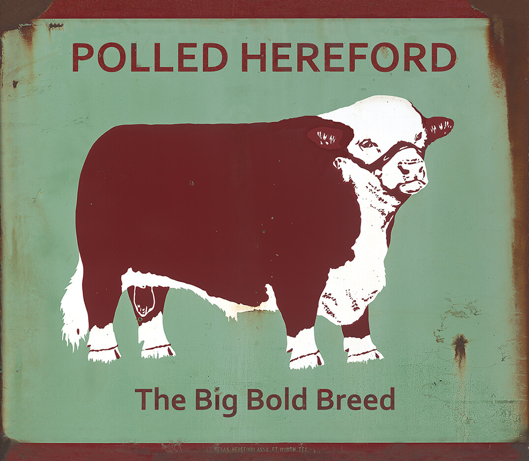 TEXAS HEREFORD ASSOCIATION POLLED, THE BIG BOLD BREED SIGN TEXAS HEREFORD ASSOCIATION POLLED, THE BIG BOLD BREED SIGN