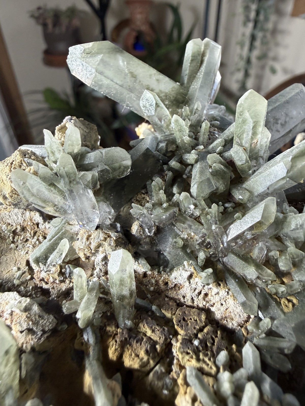 Green Chlorite Phantom Quartz Crystal – Large Collector Specimen – 2.42 lbs
