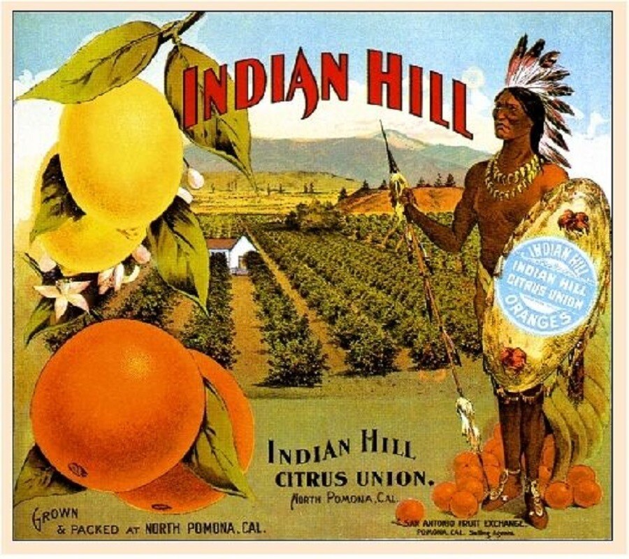 Indian Hill Brand Orange Pomona California Citrus Fruit Crate Label Art Print