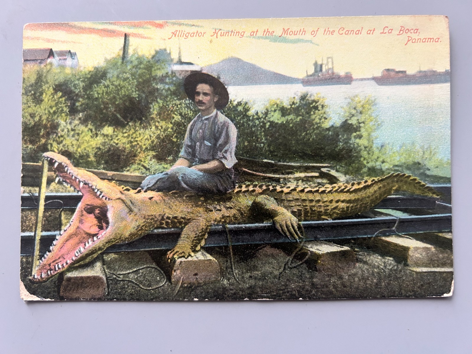 ANTQ POSTCARD 1910 ALLIGATOR HUNTING AT THE MOUTH OF THE CANAL LA BOCA PANAMA