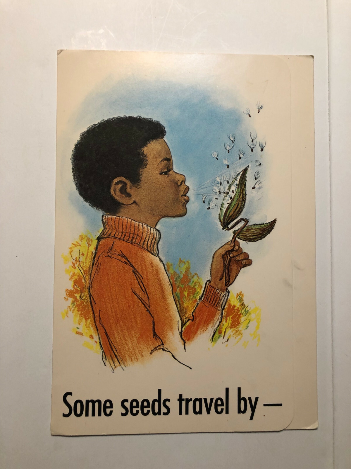 Plants and Seeds Picture Fold Outs Educational Memorabilia 1972 Child\'s World Plants and Seeds Picture Fold Outs Educational Memorabilia 1972 Child\'s World