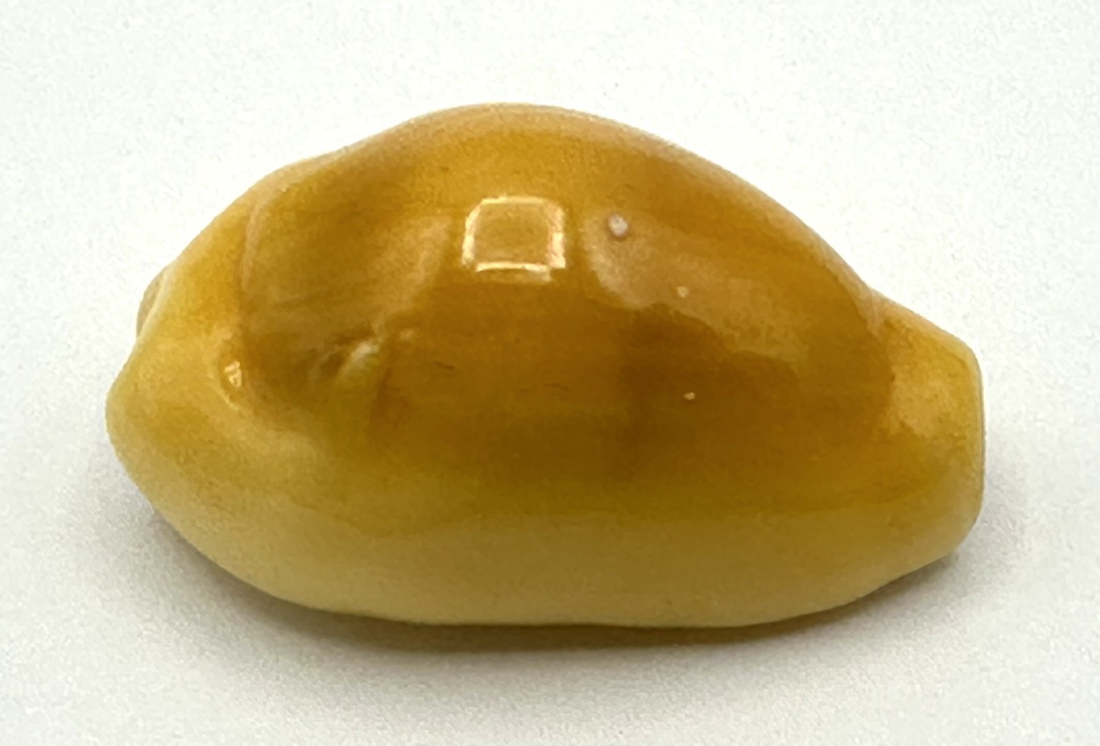 Monetaria moneta Monetaria moneta
