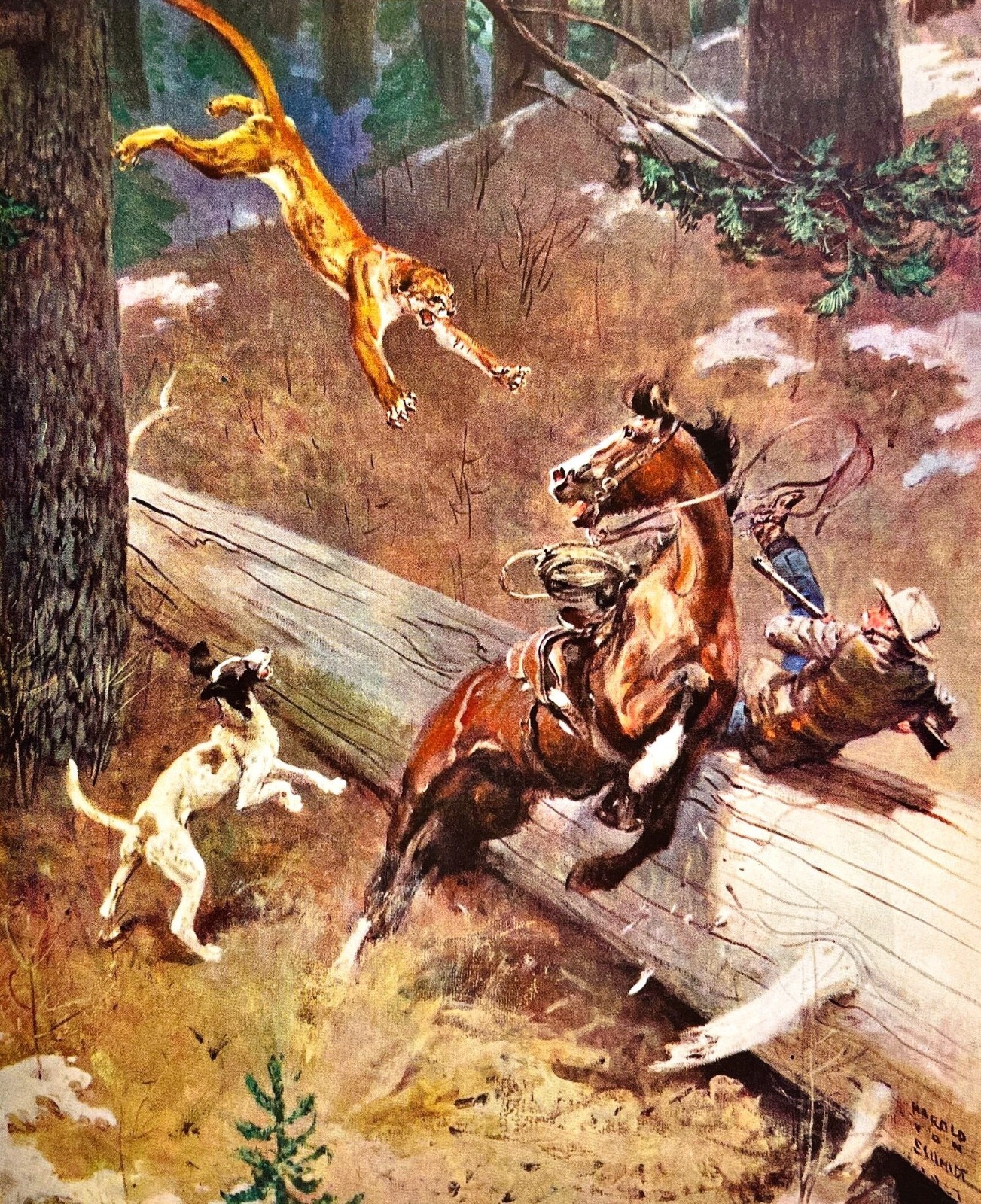 Cougar Attack Harold Von Schmidt Art \'57 MCM Western Action Scene Vtg Mag CutOut
