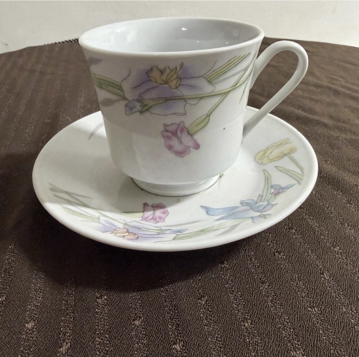 Vintage Floral Porcelain Cup and Saucer Set