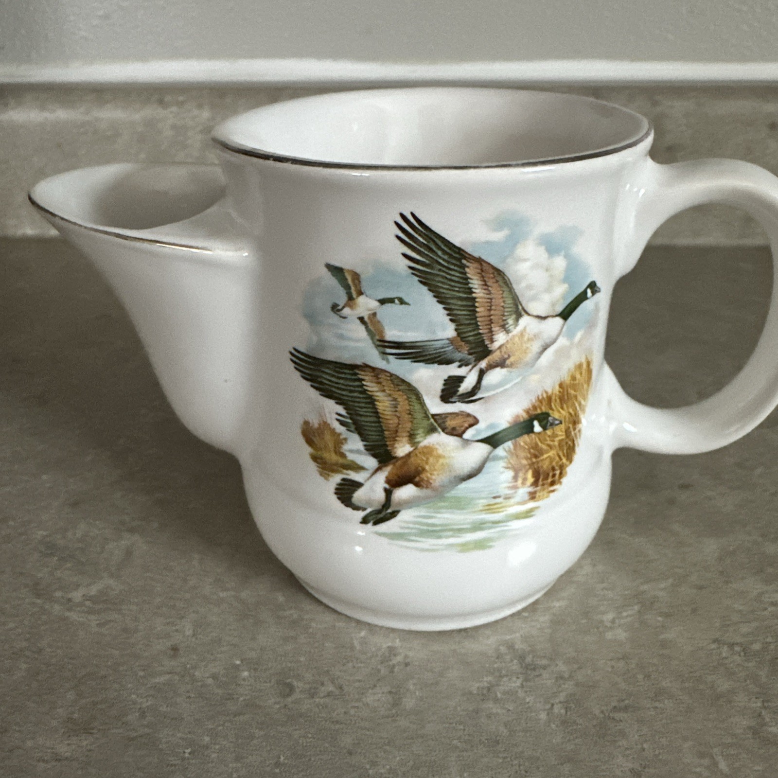 Mustache cup with Geese flying scene, Unbranded