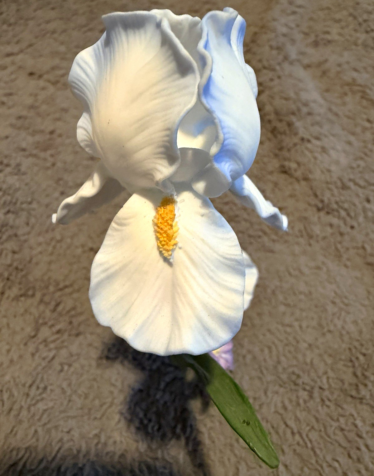 Lenox Iris Germanica Fine Bone China Porcelain Hand Painted Flower Figurine