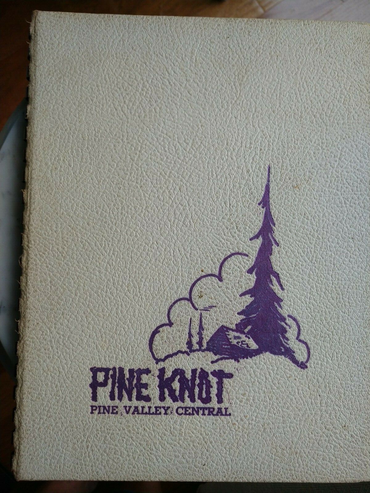 1951 Pine Valley High School South Dayton NY Yearbook - PINE KNOT Chautauqua