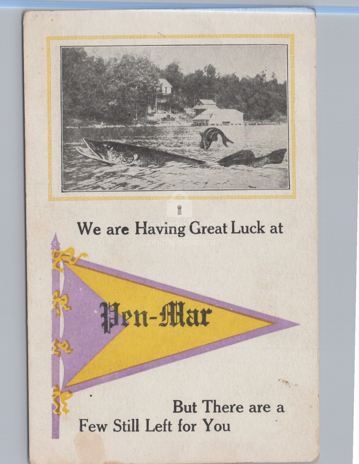 Tall Tale Exaggerated Giant Fish Pennant Pen Mar Maryland MD PA 1914 Postcard