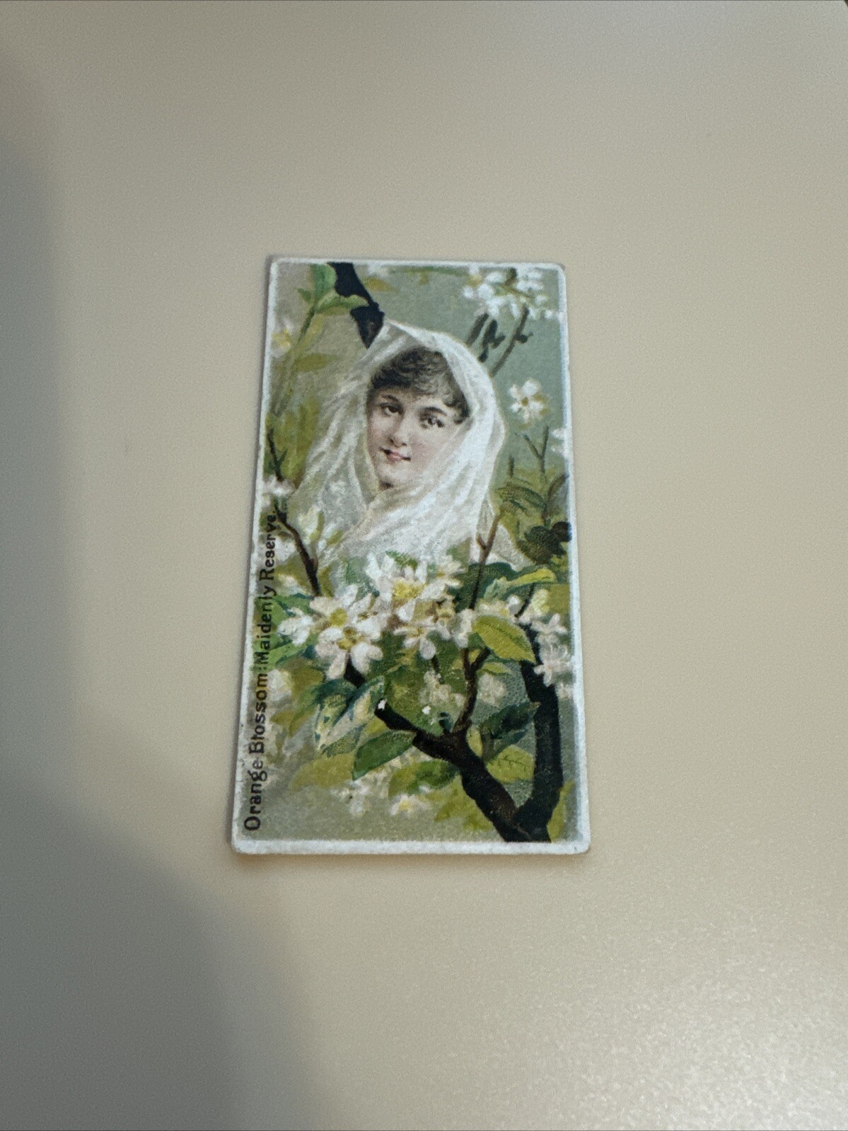 c1880\'s N75 Duke Tobacco Card - Floral Beauties Series - Orange Blossom Maidenly