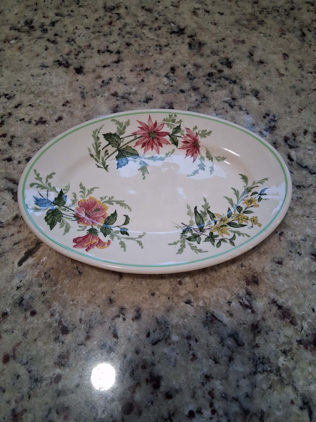 VTG 1941 Buffalo China Atlantic Coast Line Railroad Flora of the South 9.5\