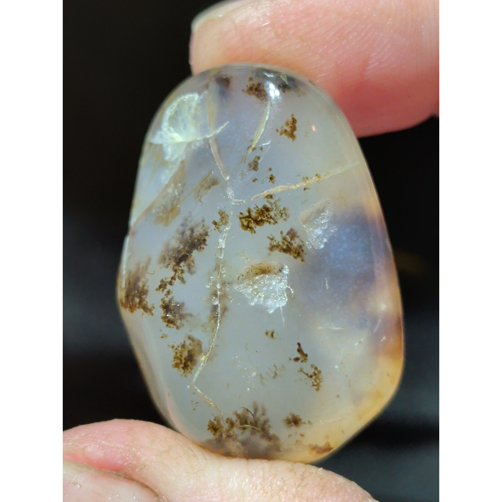 Montana Agate w/ Dendric Tumbled Specimen (19 Grans)