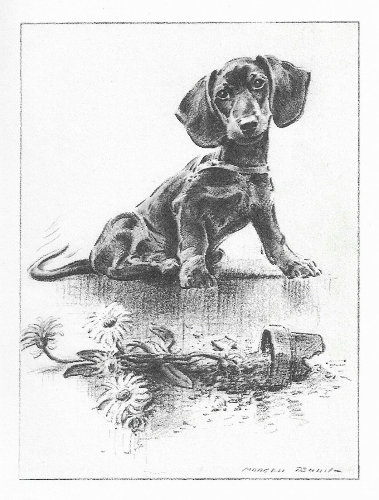 Dachshund - CUSTOM MATTED - Dog Art Print - M. Dennis - 8\