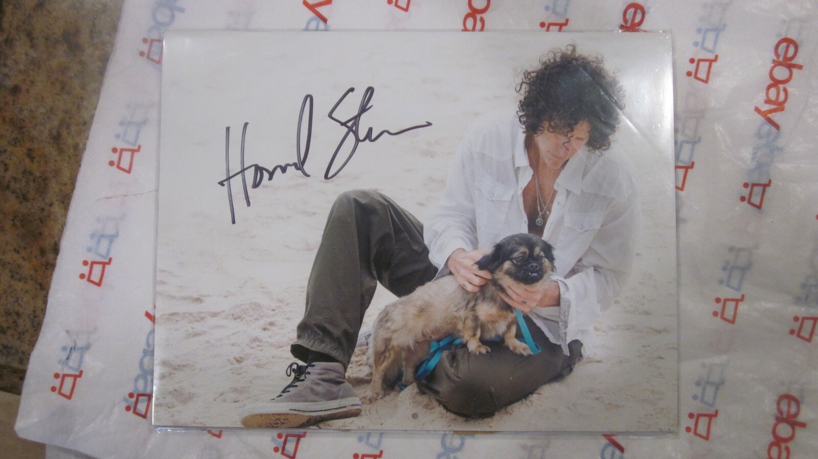 HOWARD STERN/BETH O 2014 NORTH LEAGUE ANIMAL LEAGUE SIGNED/AUTOGRAPHED CALENDAR HOWARD STERN/BETH O 2014 NORTH LEAGUE ANIMAL LEAGUE SIGNED/AUTOGRAPHED CALENDAR