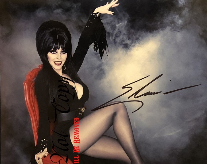 Elvira Framed Autographed/Signed Photo REPRINTS 12\