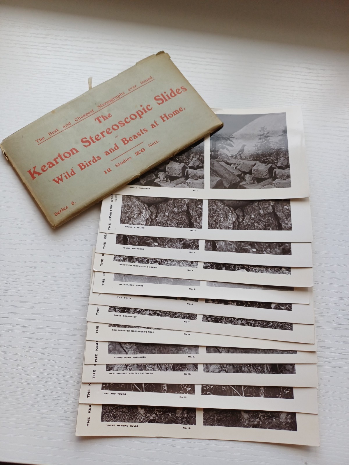 Antique Kearton Stereoscopic Slides Nature Study Complete Set Envelope series 6