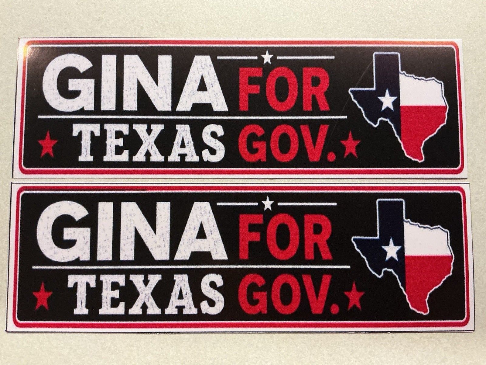 Gina For GOVERNOR 3x9 Sticker