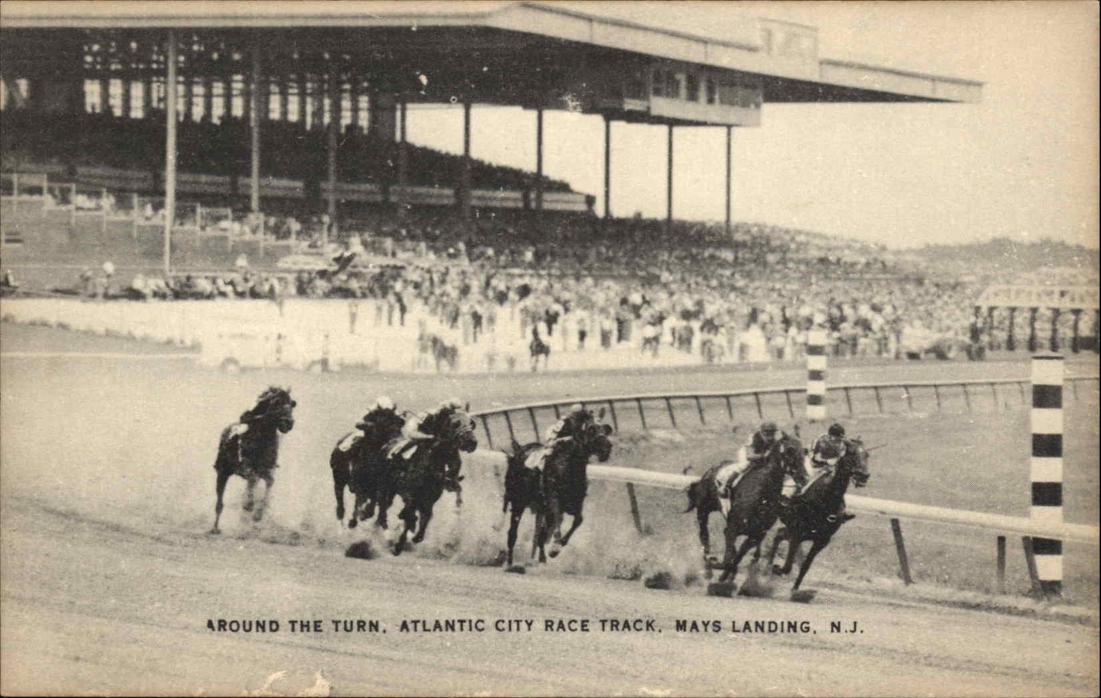 Mays Landing NJ New Jersey Atlantic City Race Track c1930-40s Vintage Postcard
