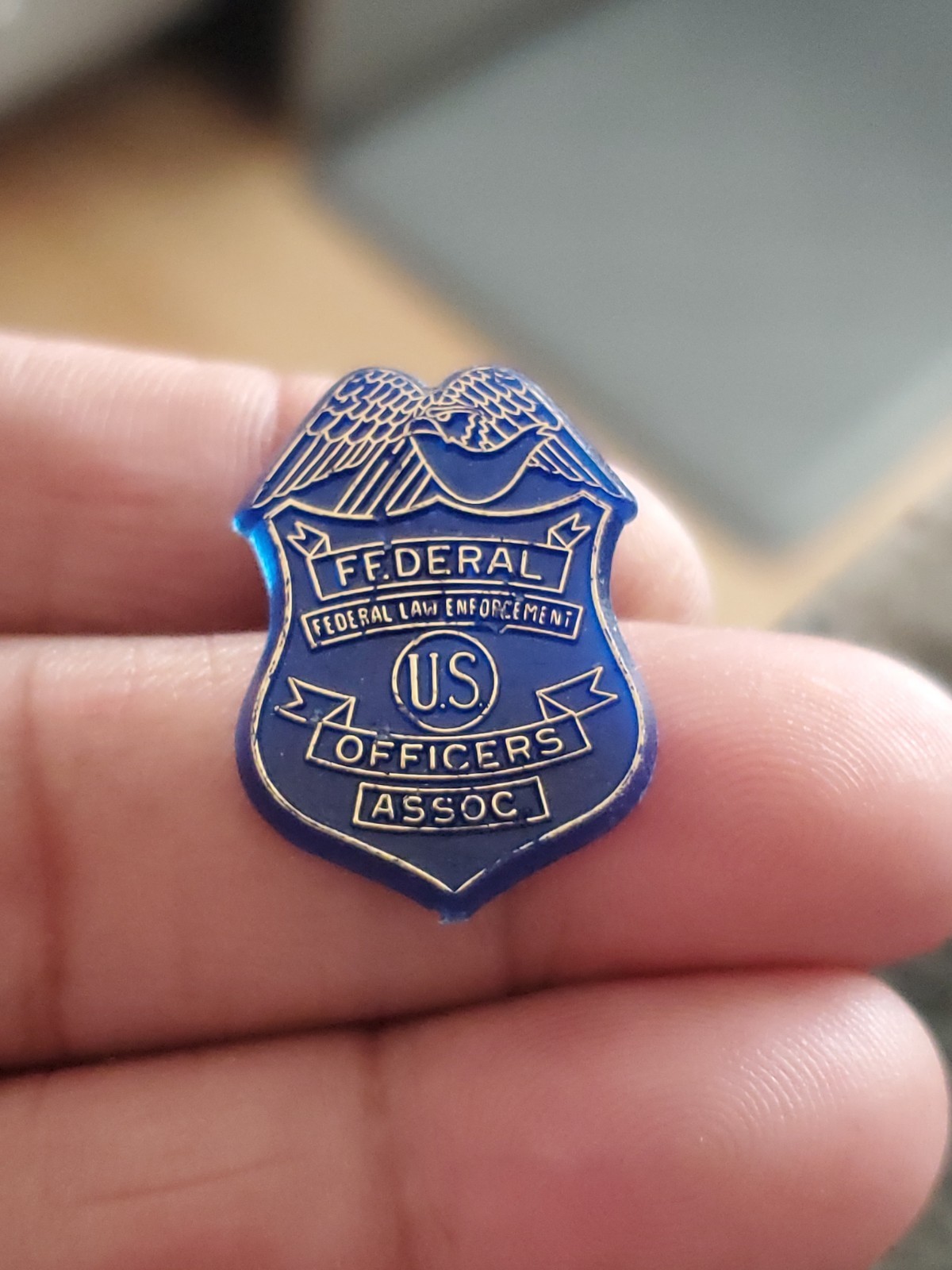 FLEOA Federal Law Enforcement Officers Association Pin