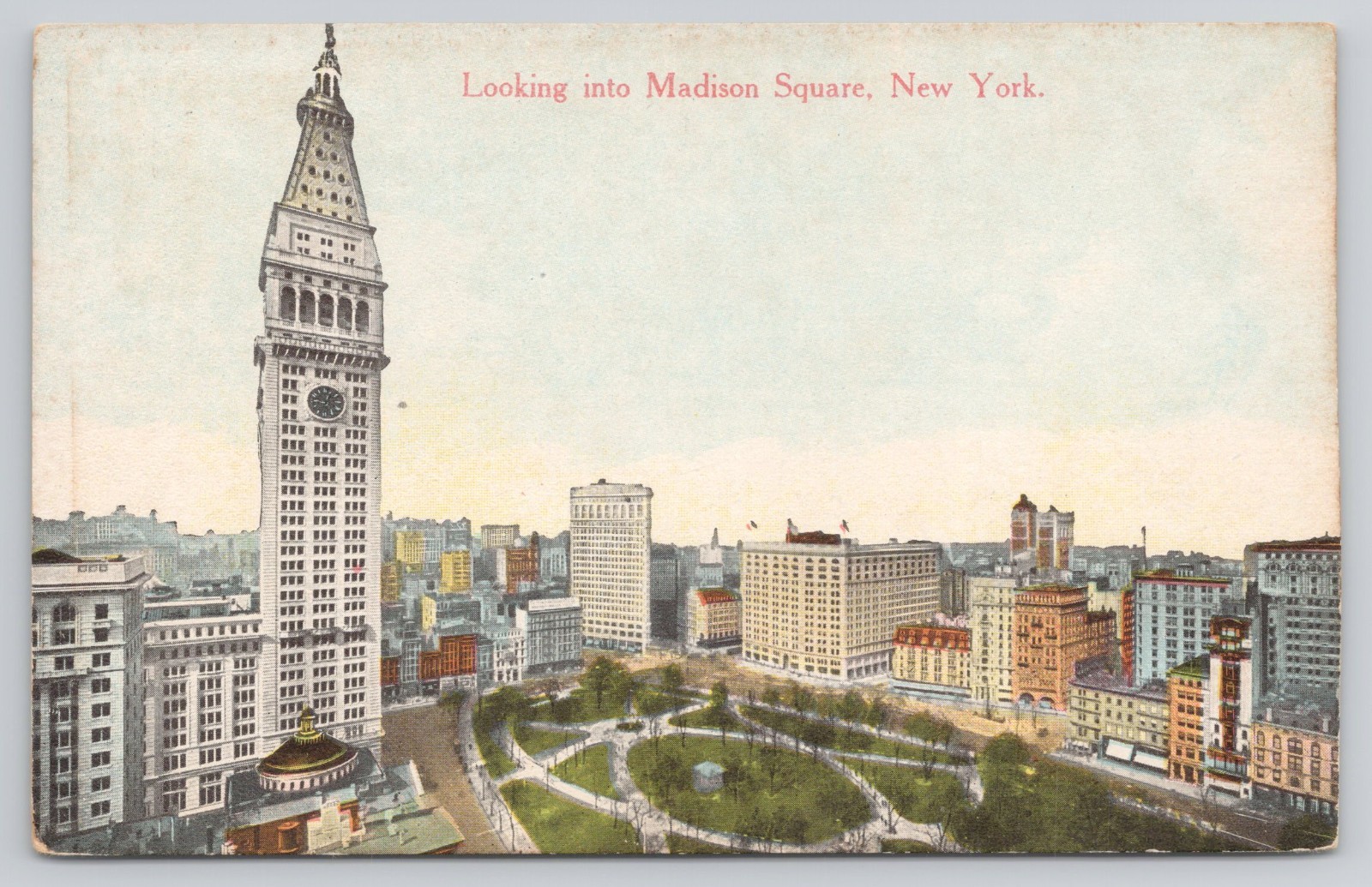 Madison Square Garden New York NY Postcard