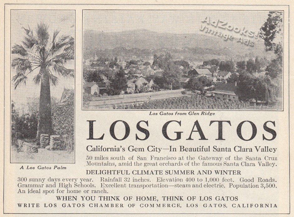 1912 Los Gatos California Print Ad – Cool Palm & View from Glen Ridge Pix