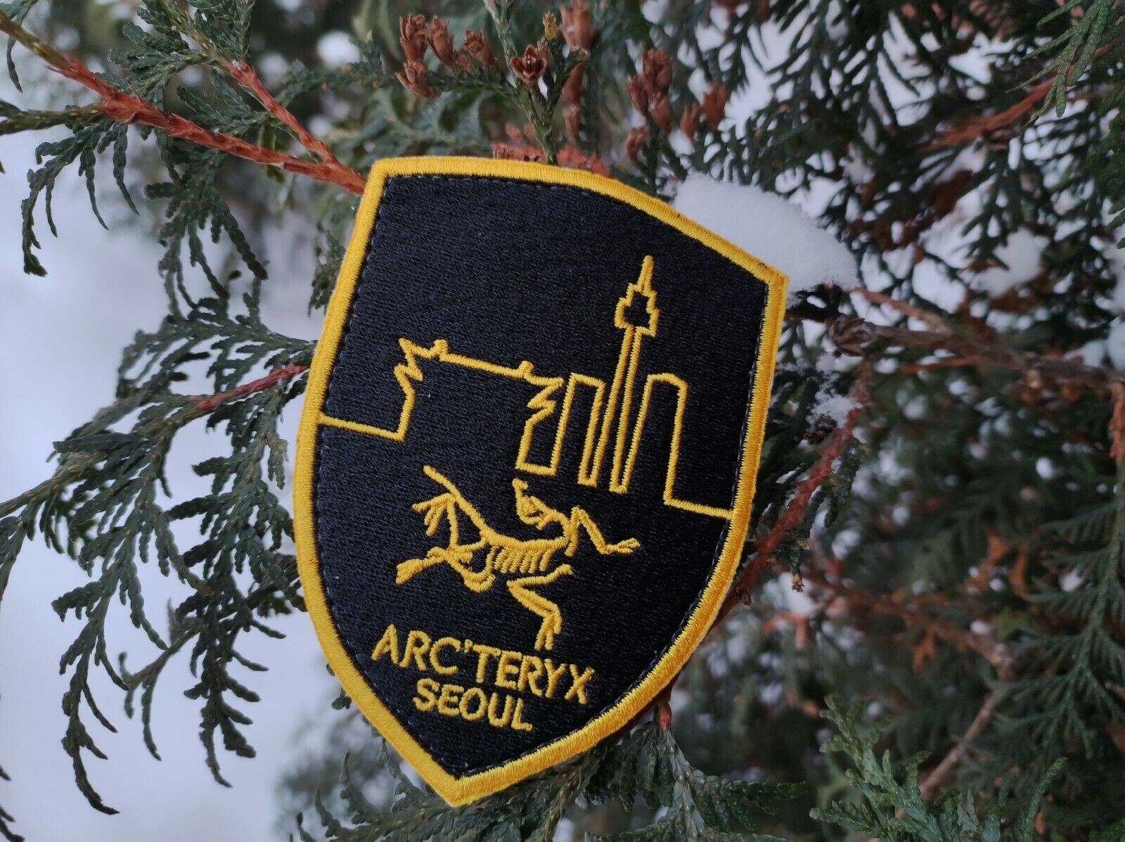 Arc'teryx LEAF Seoul Korea Patch Shield Devgru NSW Navy Seal Crye Aor1 Aor2 RARE