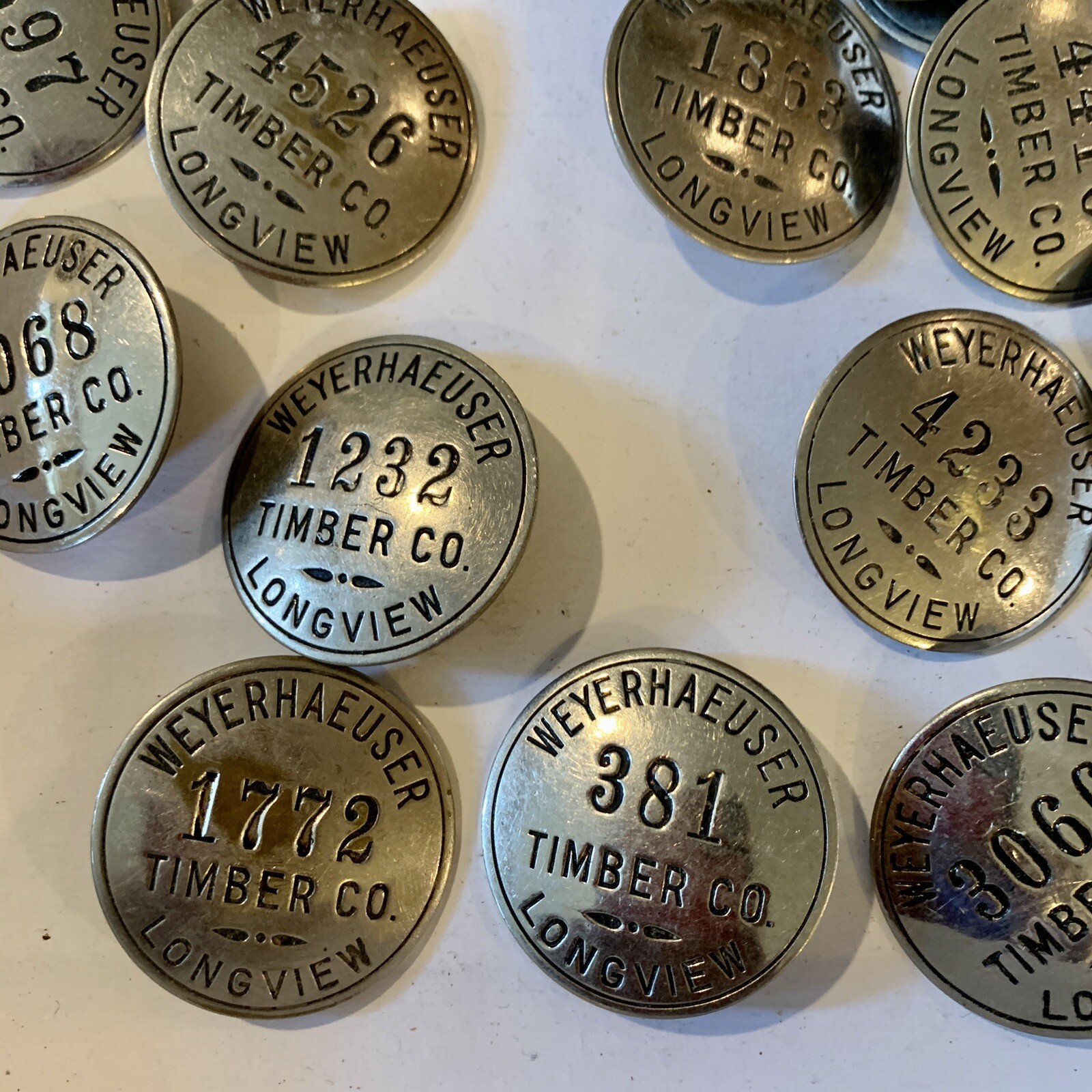 Vintage WEYERHAEUSER Timber Co  Badge Employee Identification 1930’s WA Lumber