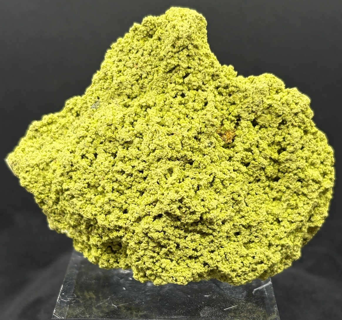 Superb Green Nontronite, ~ 8 cm, Jove Lauriano Claum, Minas Gerais, Brazil Superb Green Nontronite, ~ 8 cm, Jove Lauriano Claum, Minas Gerais, Brazil