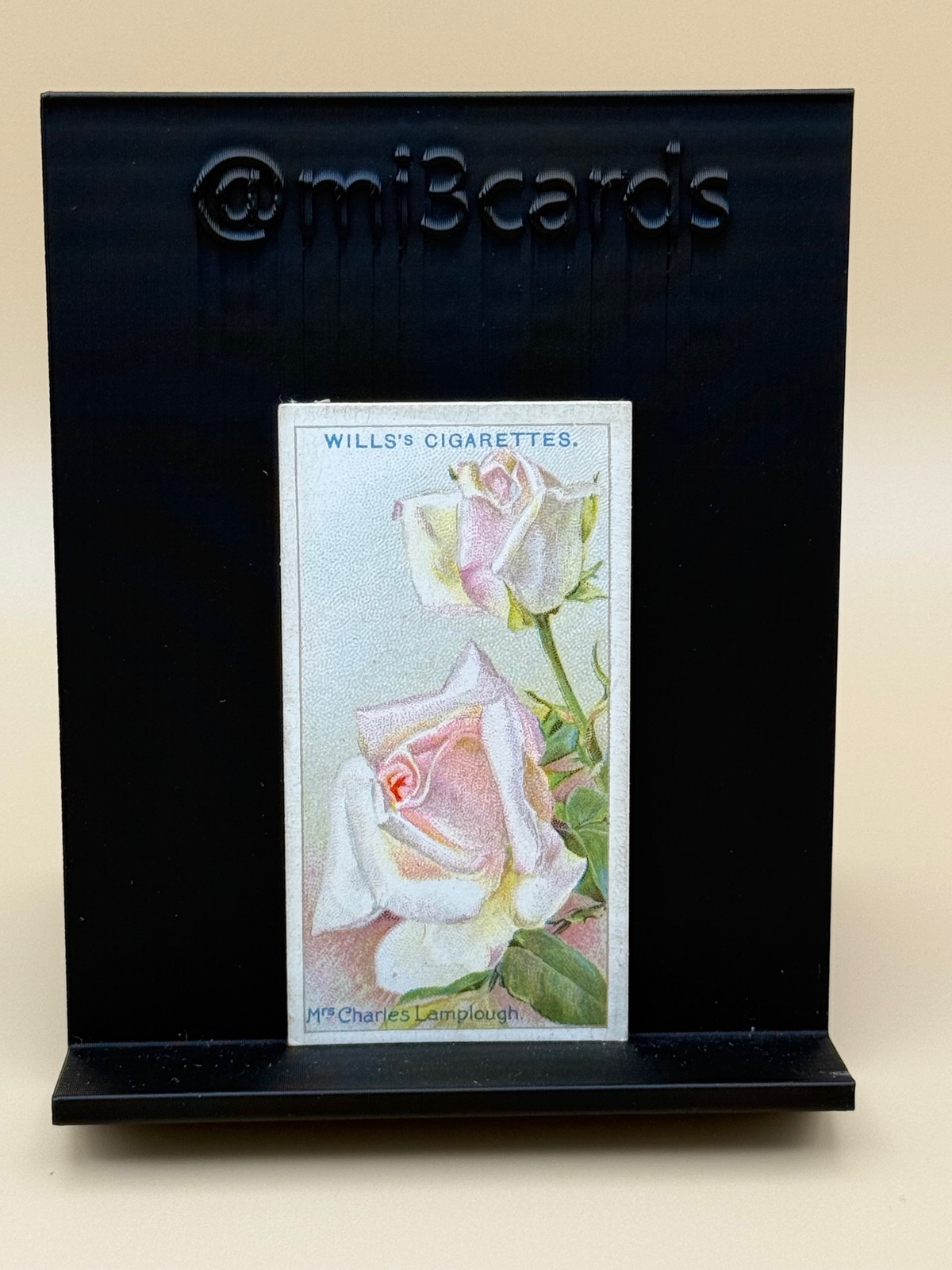 1926 Wills\'s Roses #37 Mrs. Charles Lamplough