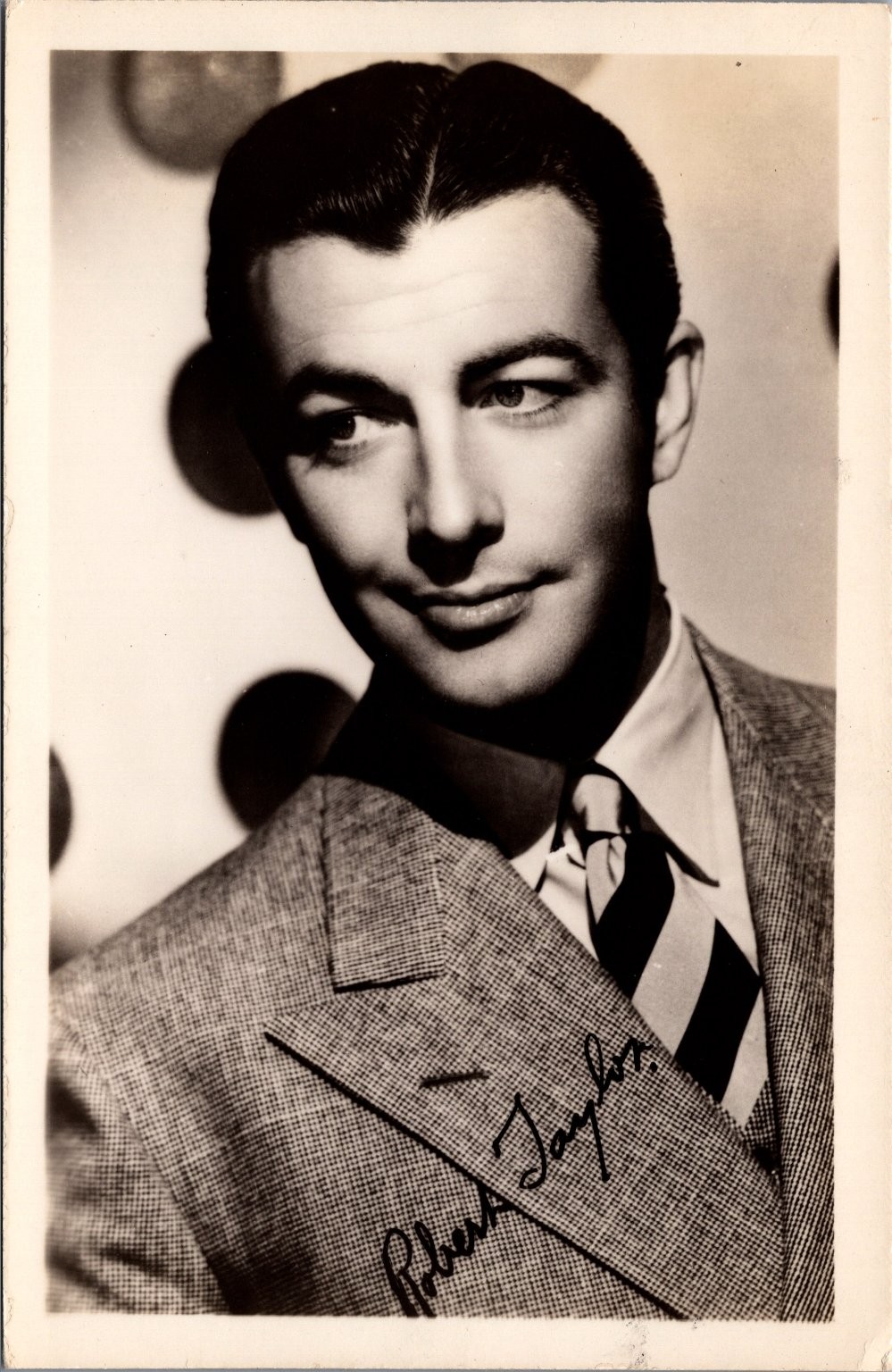 Robert Taylor Vintage Real Photo Postcard RPPC Hollywood Actor Portrait