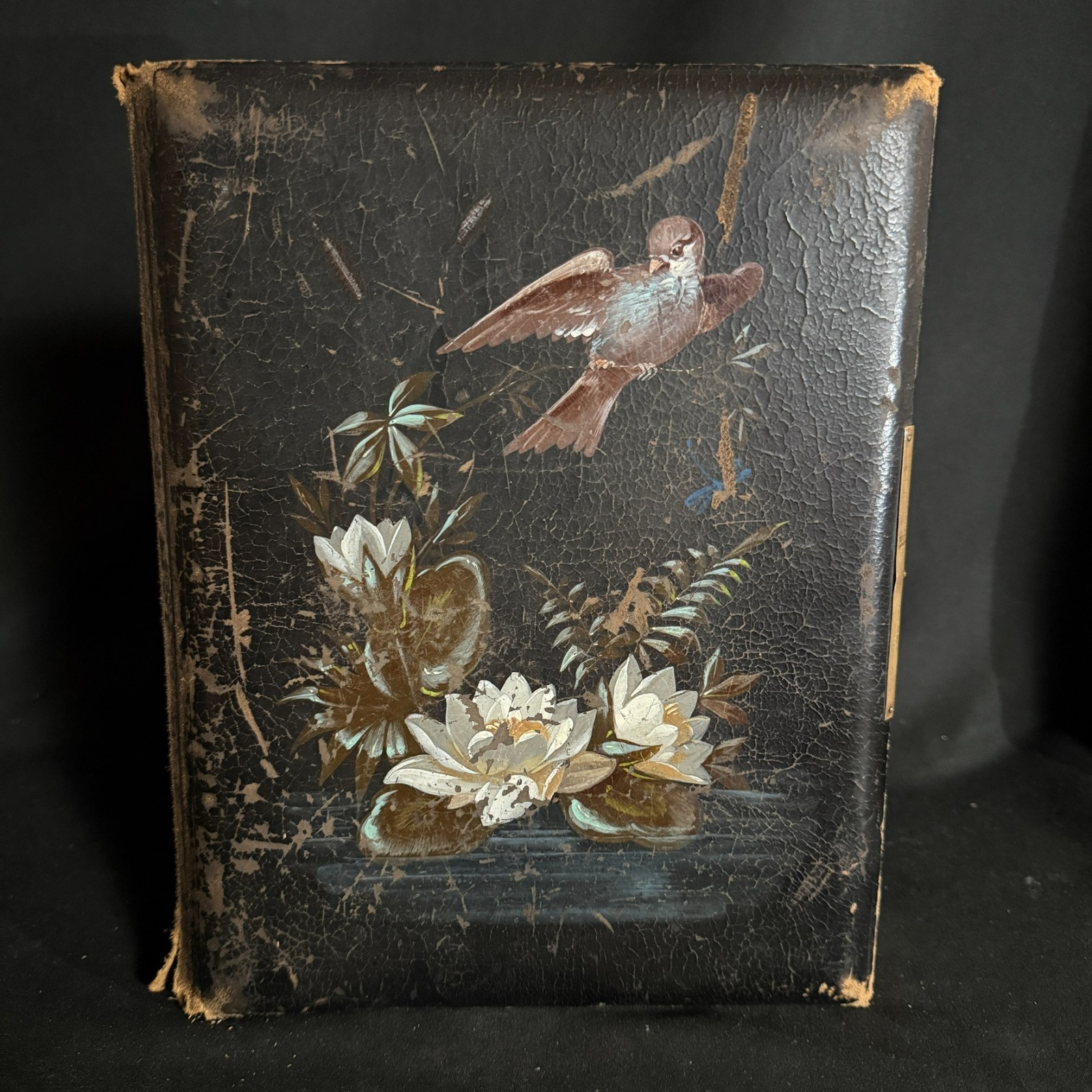 Antique Victorian Leather Photo Album Painted Bird Floral Cabinet Card Empty