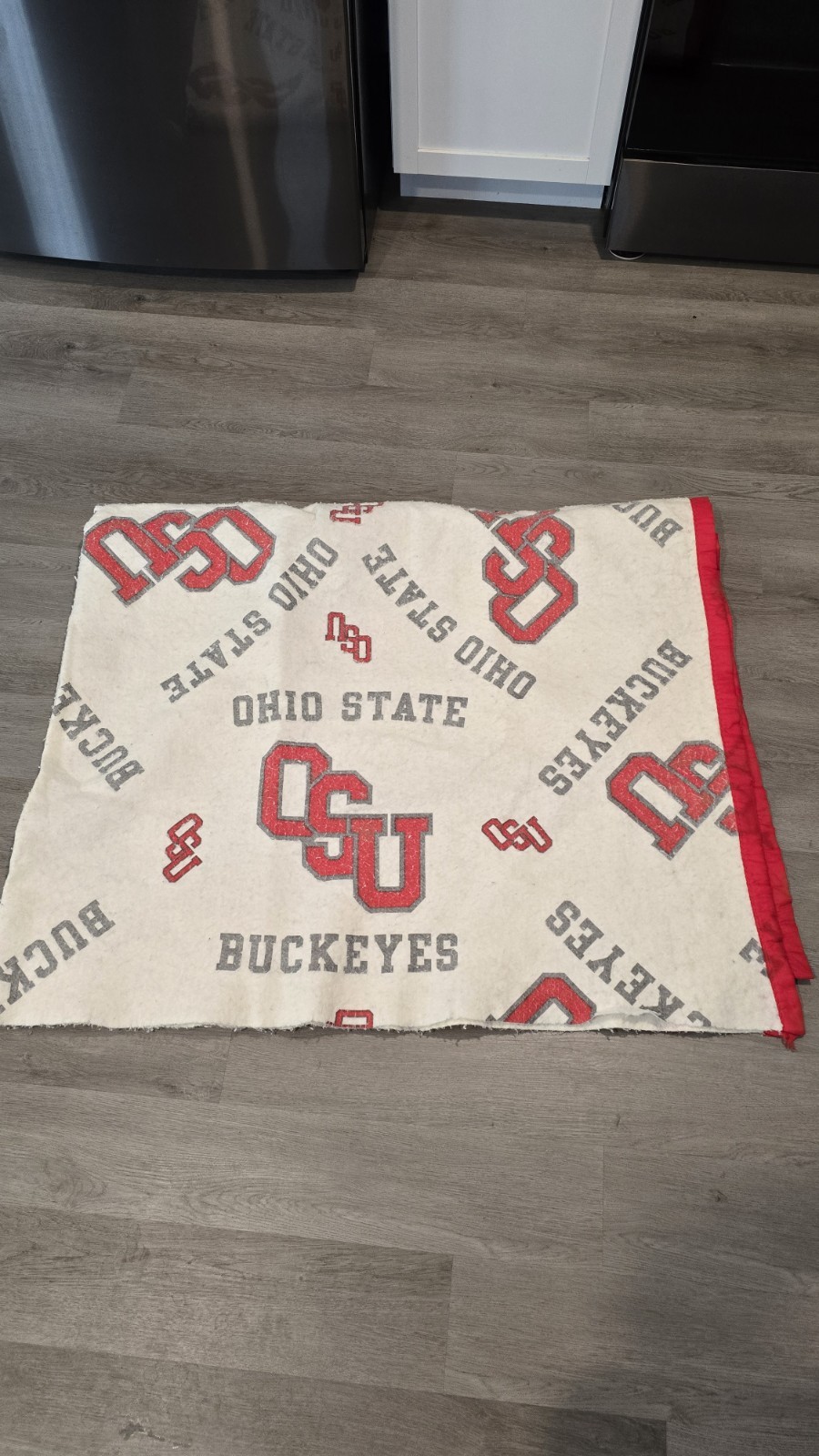 Vintage Ohio State University Buckeyes OSU Satin Trim Blanket 72\