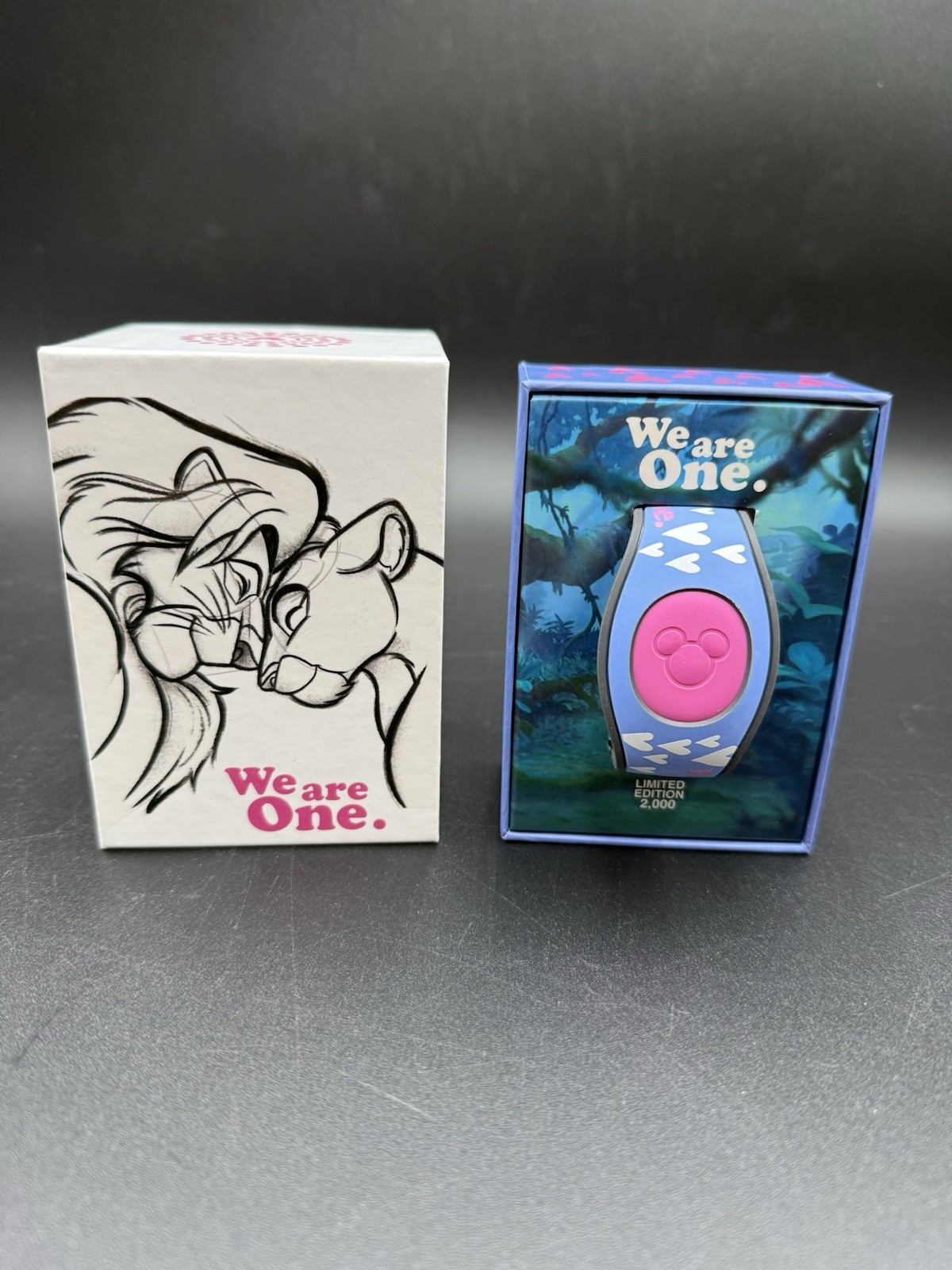 2021 Lion King We Are One Valentine’s Day Magic Band UNLINKED Brand New